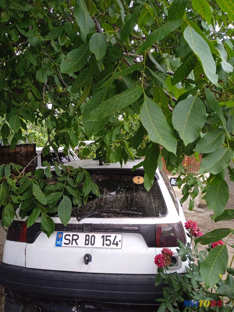 1994' SEAT Ibiza photo #5