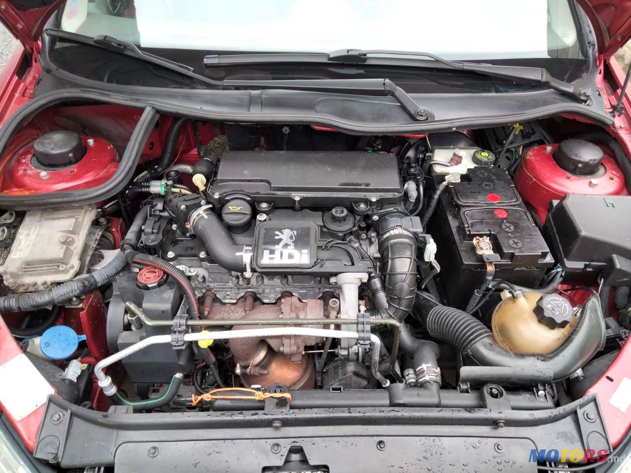 2004' Peugeot 206 photo #5