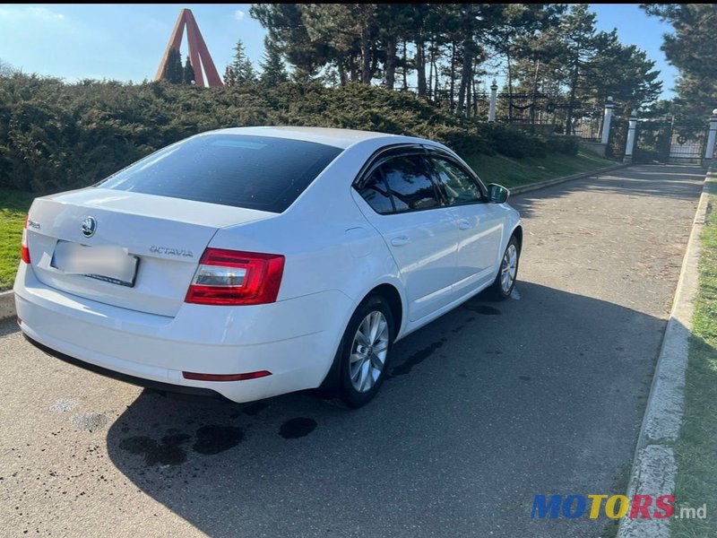 2018' Skoda Octavia photo #4