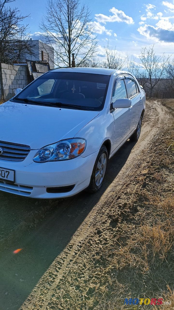 2004' Toyota Corolla photo #5