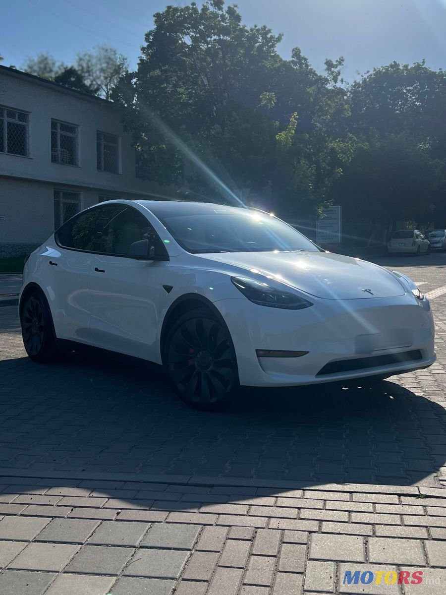 2023' Tesla Model Y photo #4