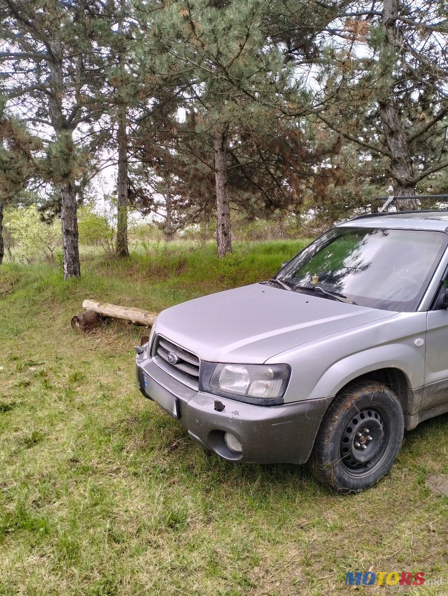 2004' Subaru Forester photo #2
