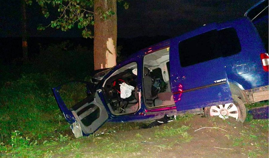 В Криулянском районе из-за пьяного водителя в ДТП погибли пассажиры автомобиля