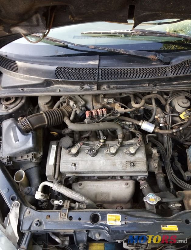 2009' Toyota photo #4