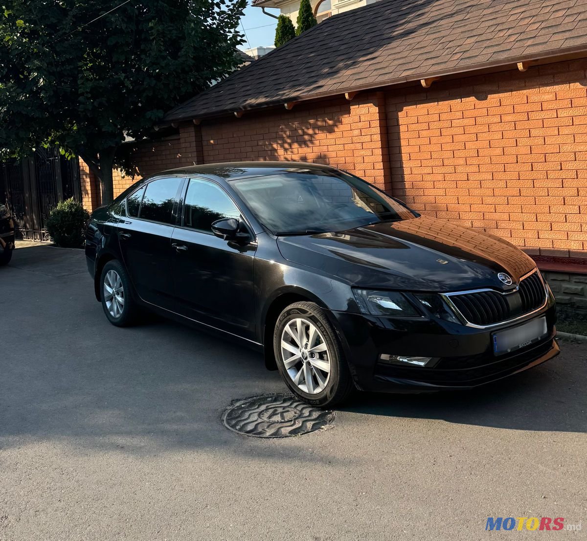2019' Skoda Octavia photo #1
