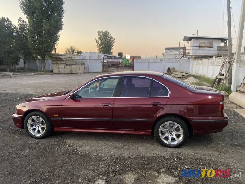 1997' BMW 5 photo #2