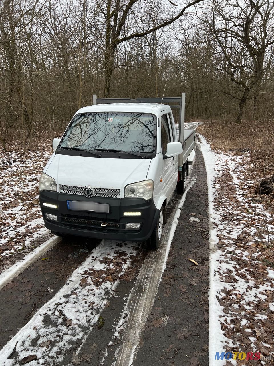 2017' Dongfeng Skio Er30 photo #1