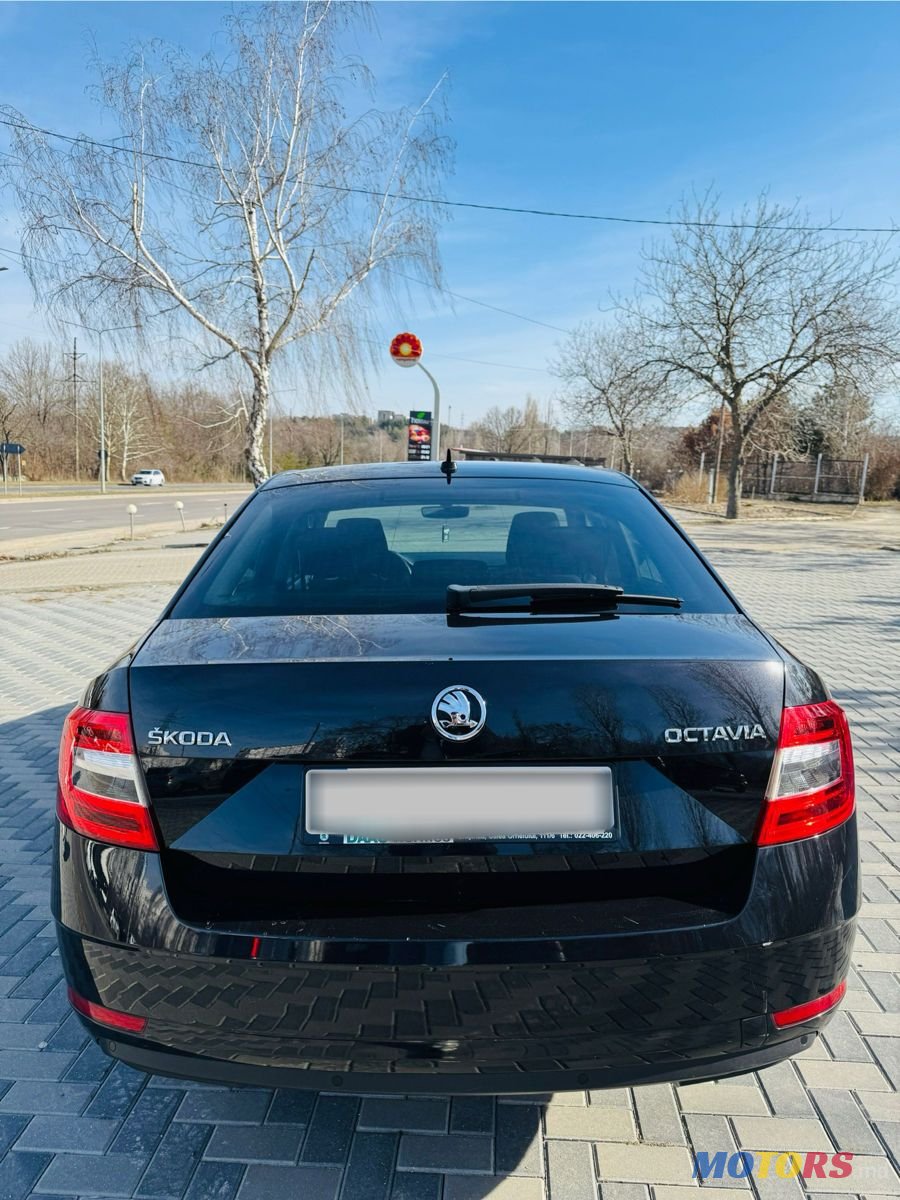 2019' Skoda Octavia photo #3