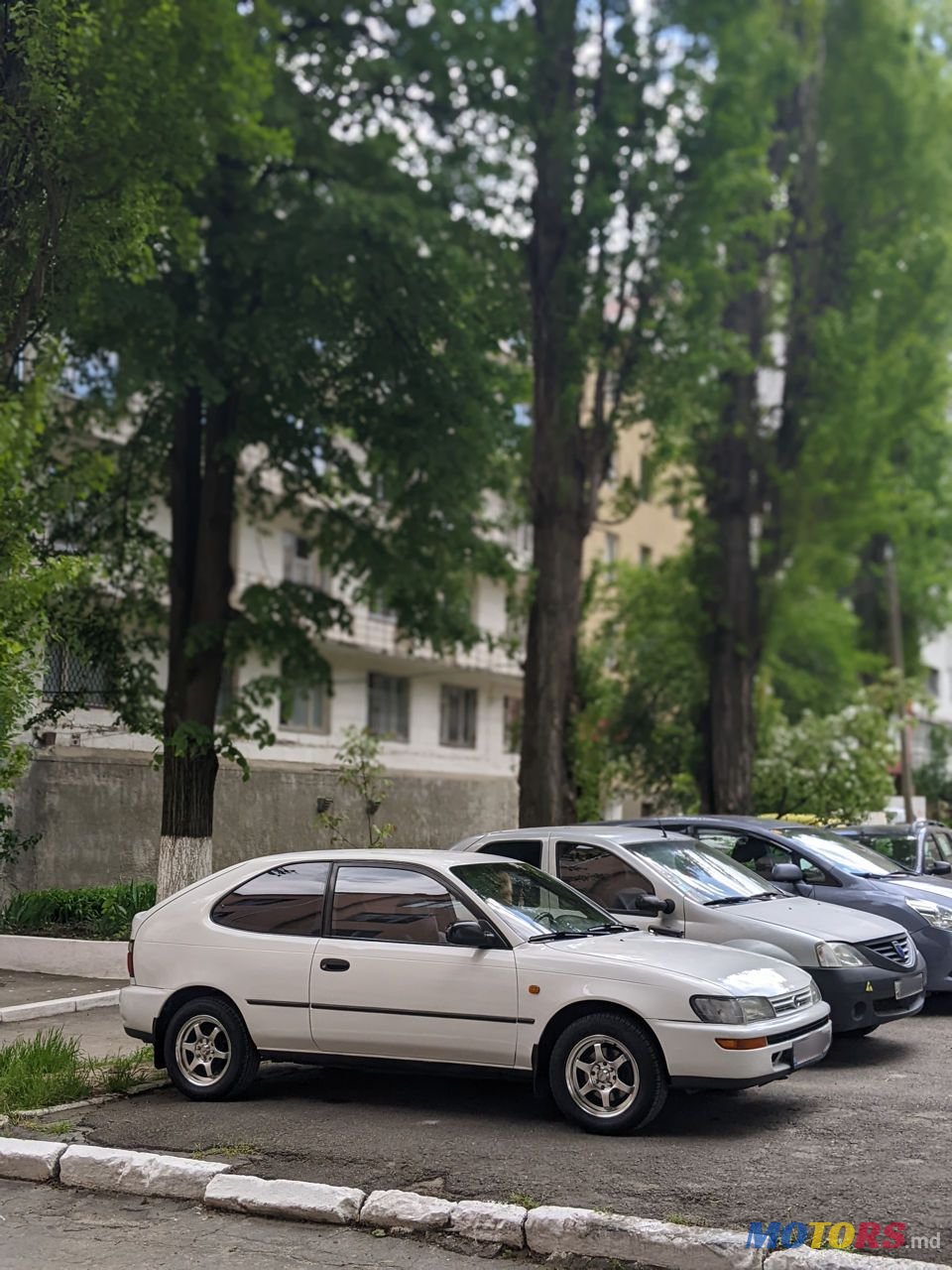 1995' Toyota Corolla photo #2