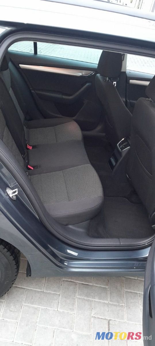2015' Skoda Octavia photo #6