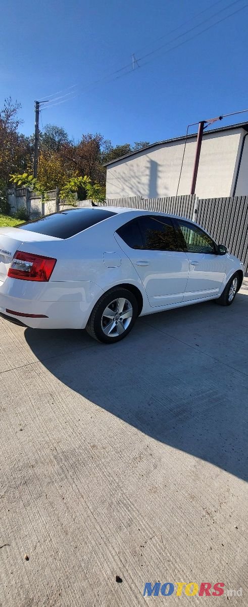 2019' Skoda Octavia photo #5