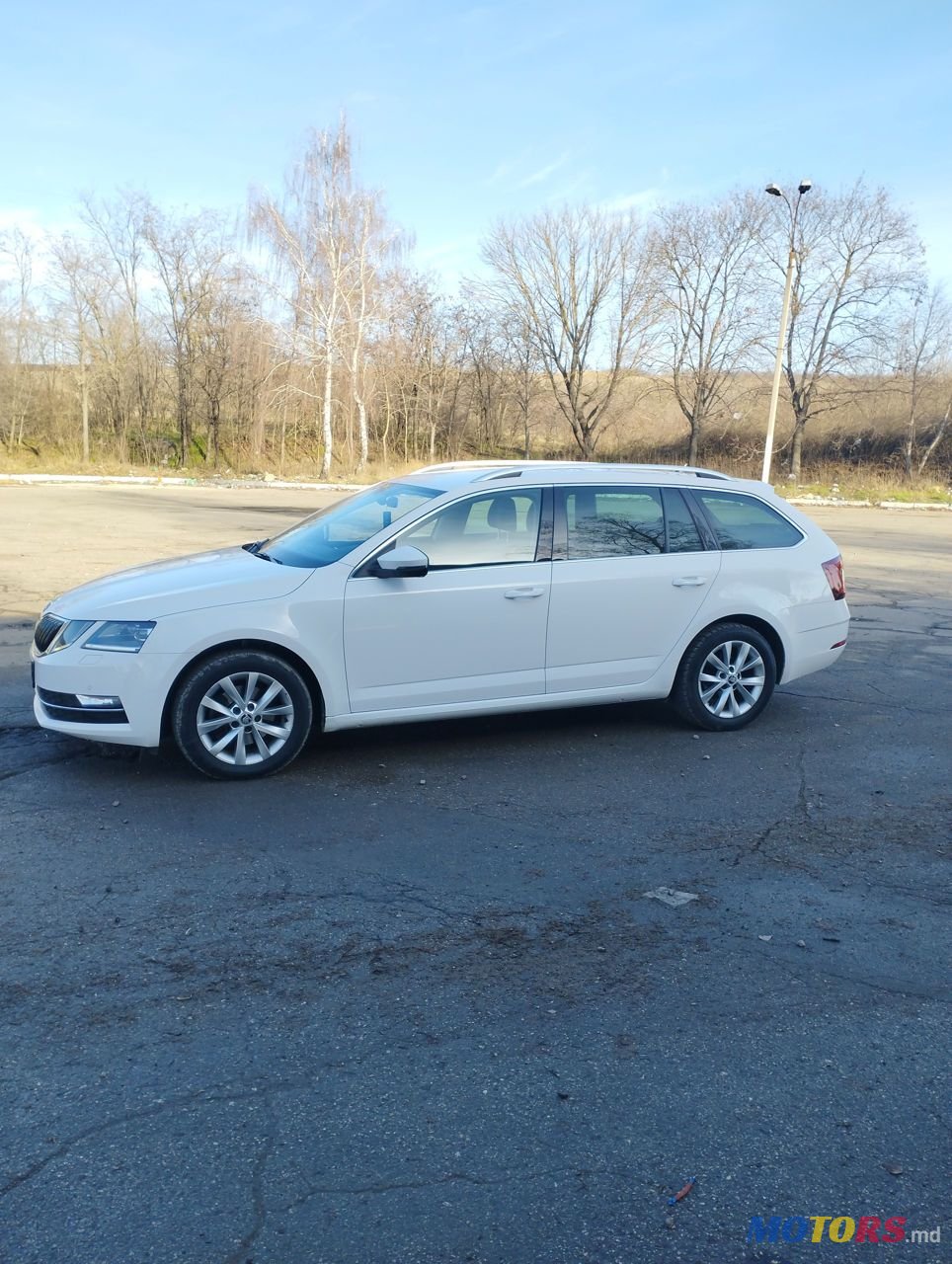 2019' Skoda Octavia photo #5