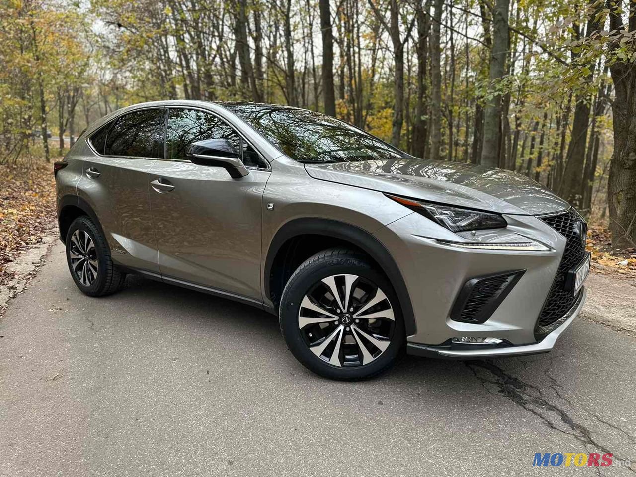 2019' Lexus Nx Series photo #2