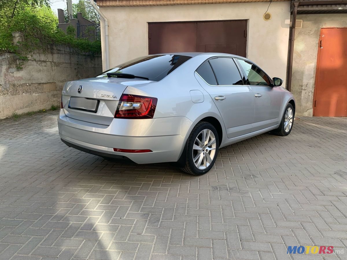 2017' Skoda Octavia photo #6
