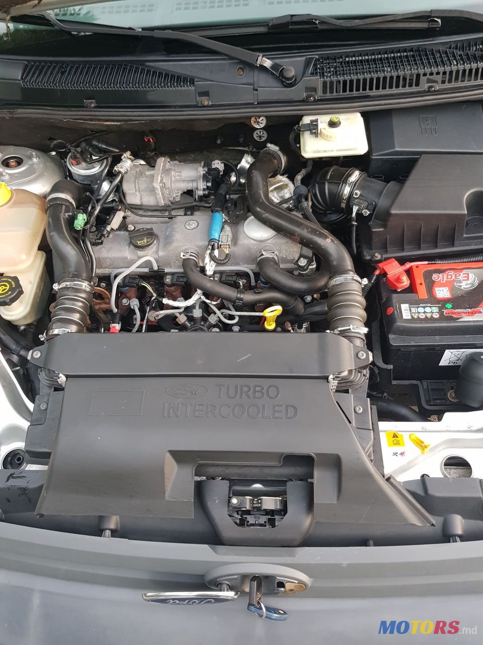 2008' Ford Transit Connect photo #6