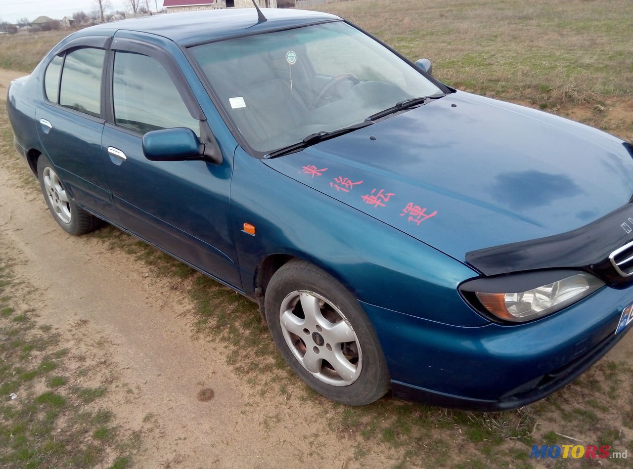 2001' Nissan Primera photo #2