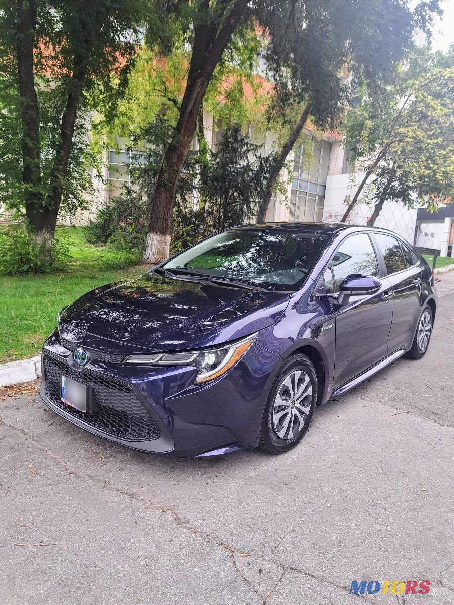 2020' Toyota Corolla photo #1