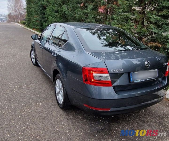 2019' Skoda Octavia photo #6
