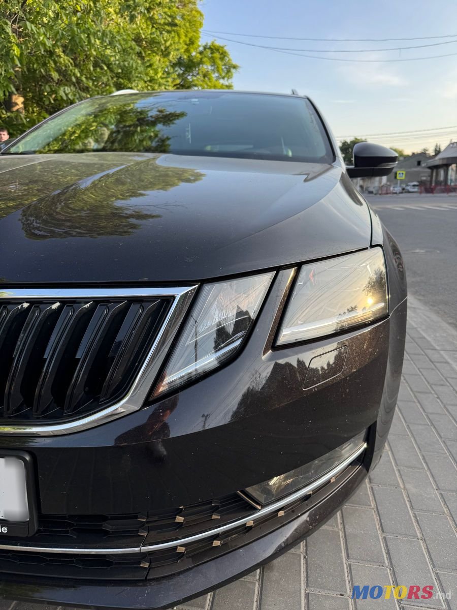 2017' Skoda Octavia photo #2