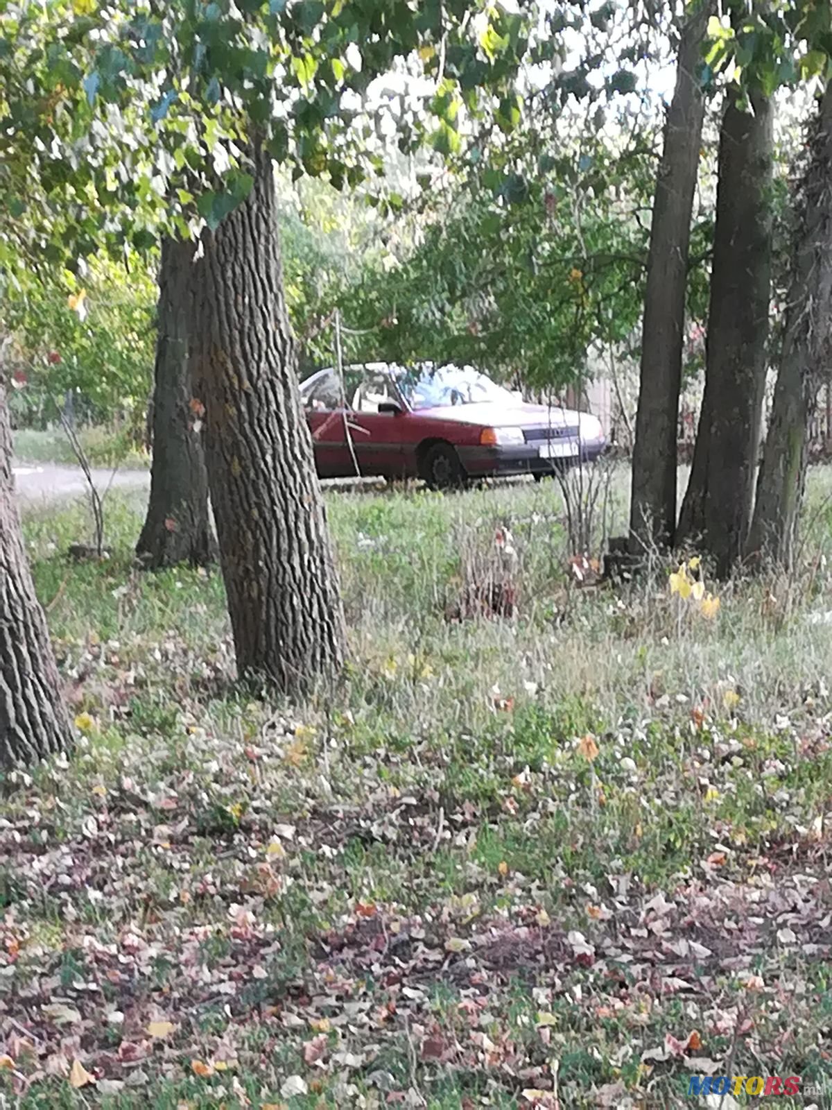 1984' Audi 100 photo #1