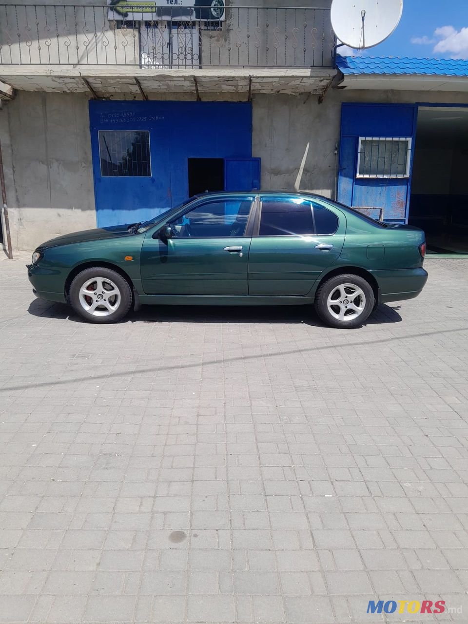 2001' Nissan Primera photo #5