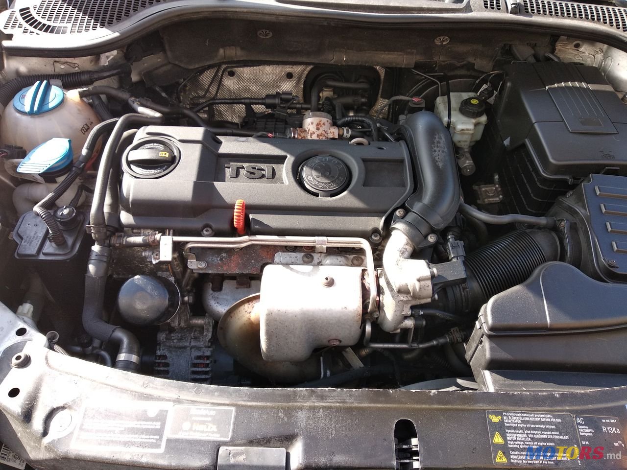 2009' Skoda Octavia photo #3