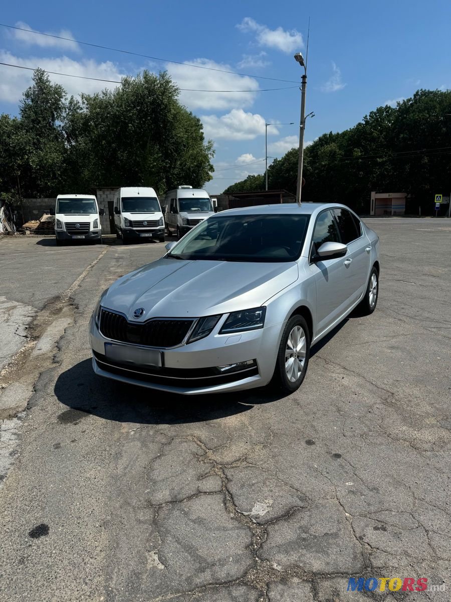 2017' Skoda Octavia photo #2