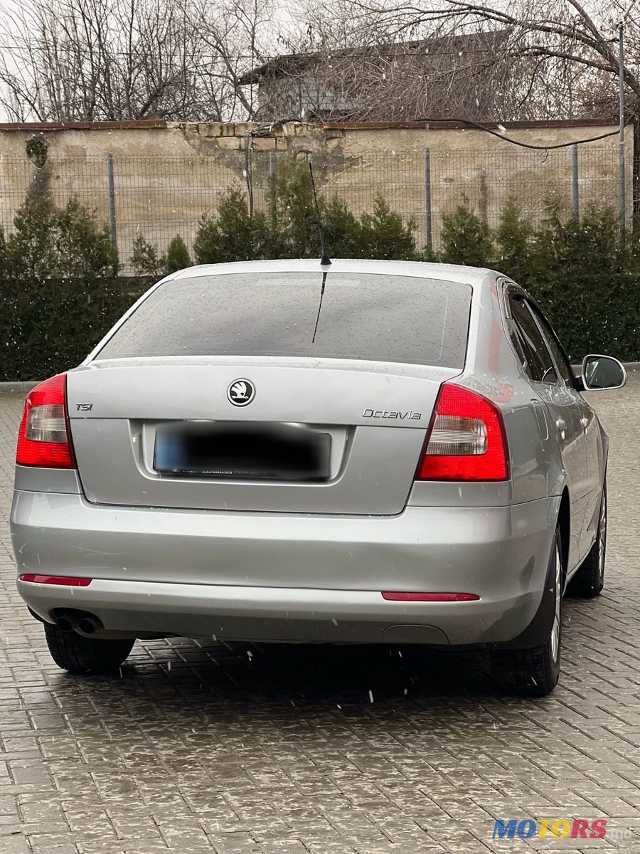 2011' Skoda Octavia photo #2