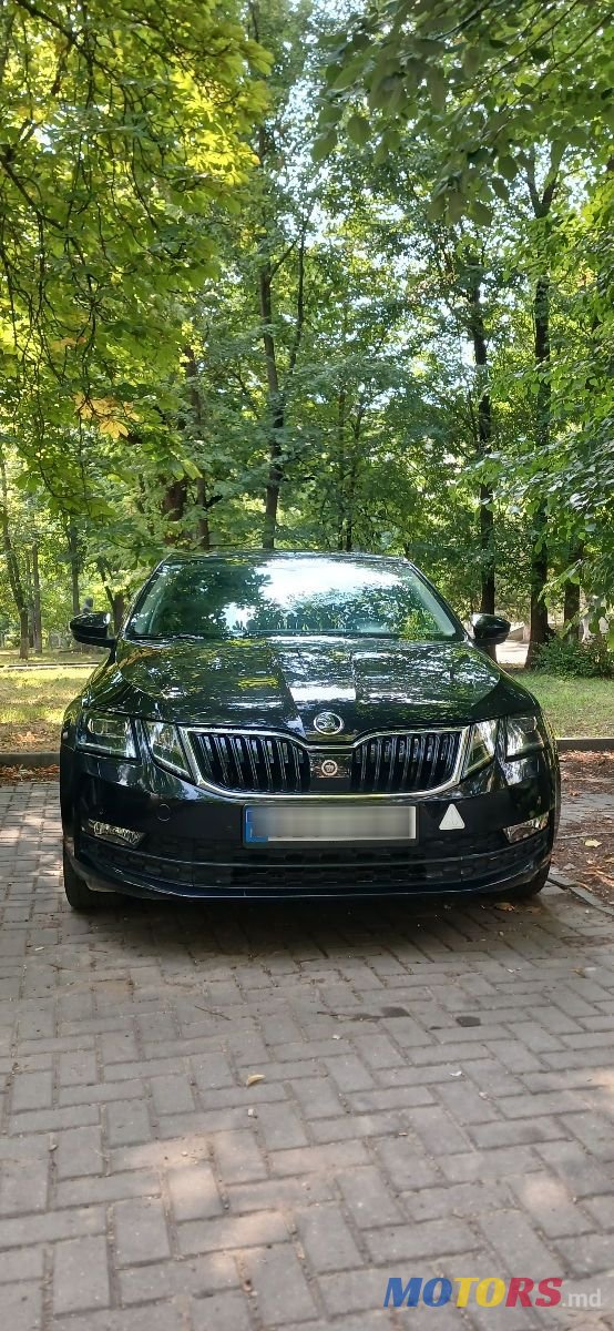 2019' Skoda Octavia photo #2
