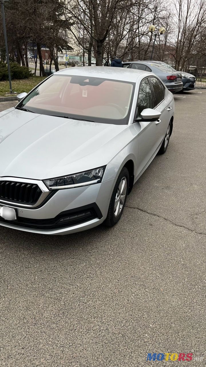 2021' Skoda Octavia photo #2