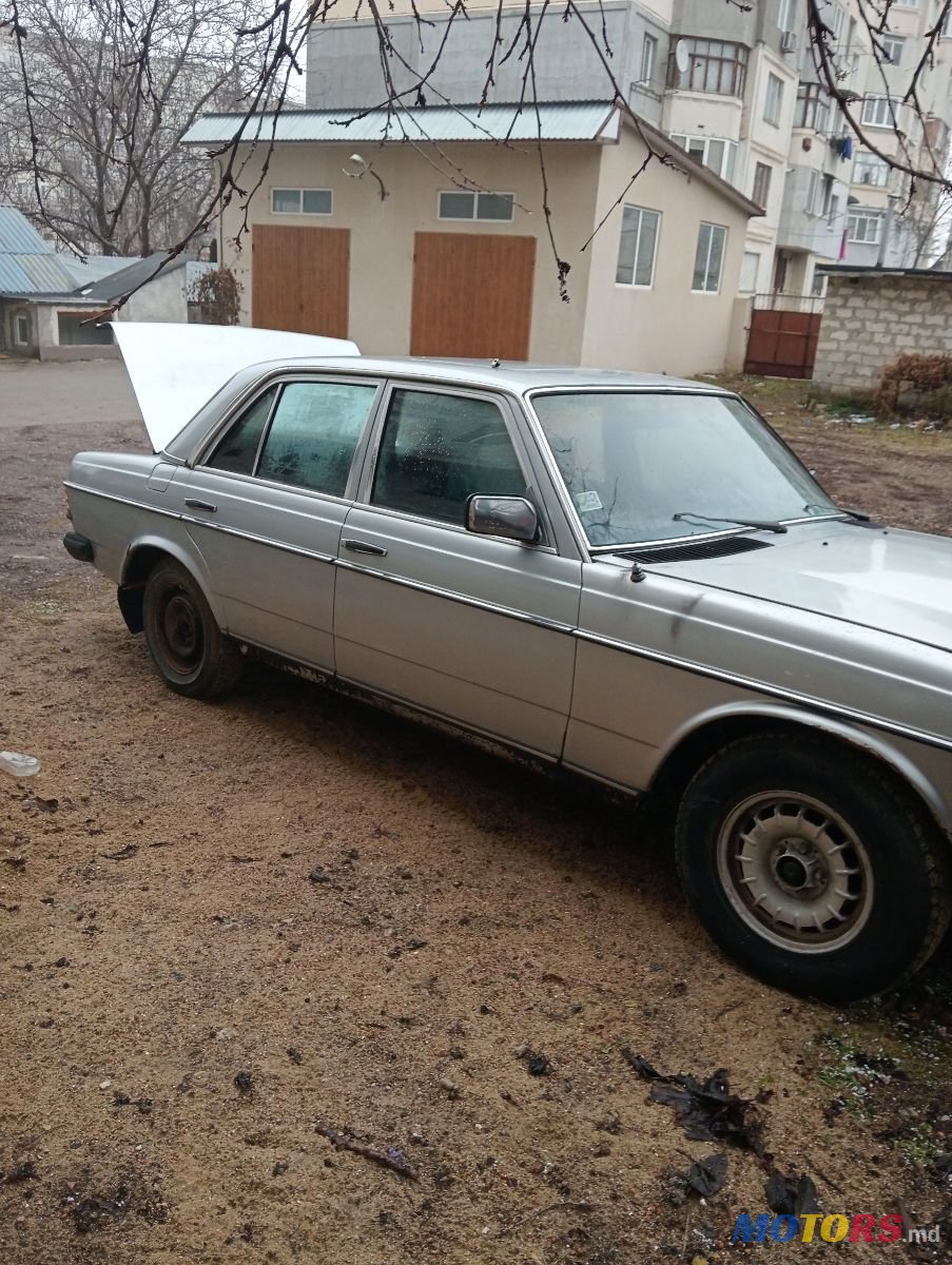 1981' Mercedes-Benz W123 photo #1