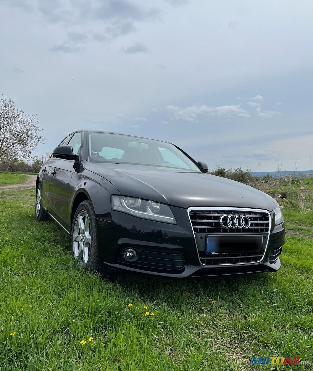 2008' Audi A4 photo #1