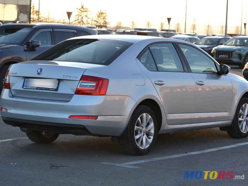 2015' Skoda Octavia photo #5