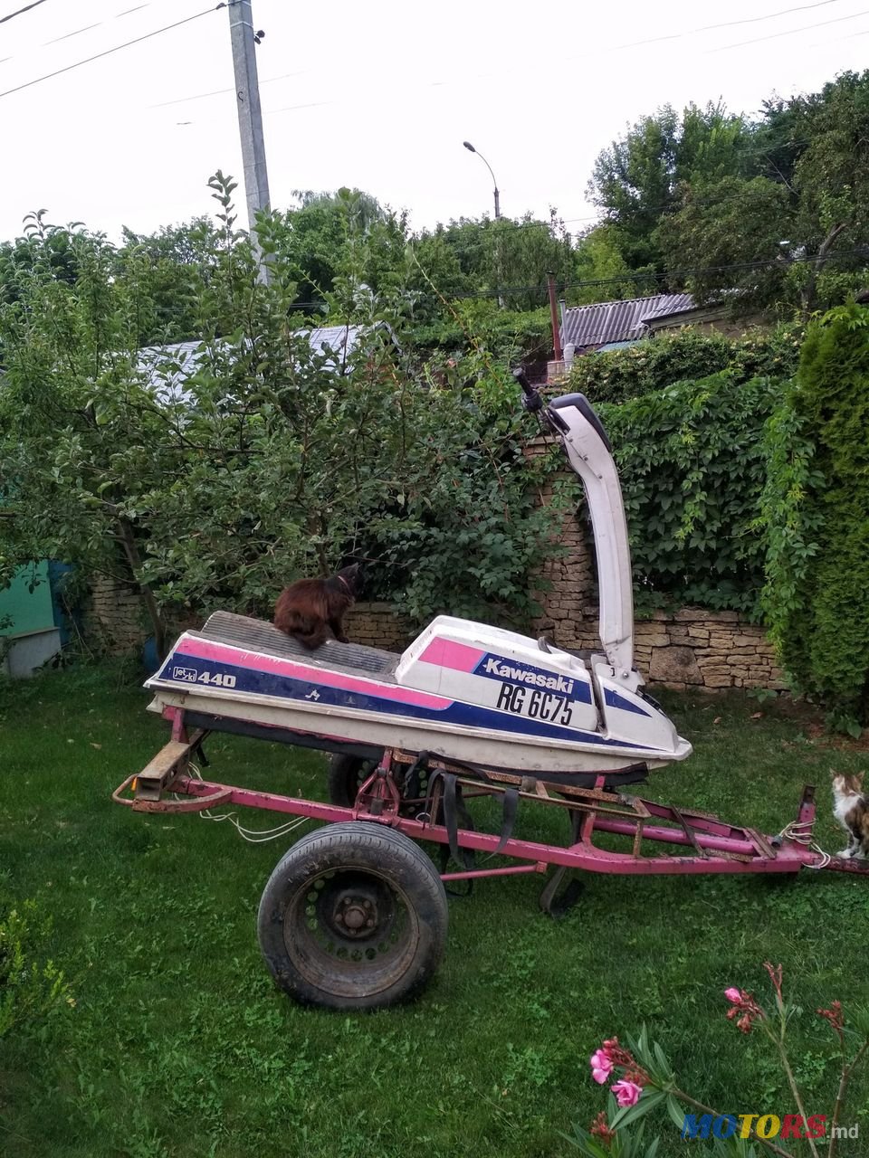 1982' Kawasaki photo #1