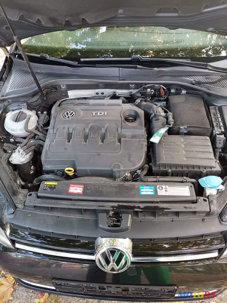 2016' Volkswagen Golf photo #3