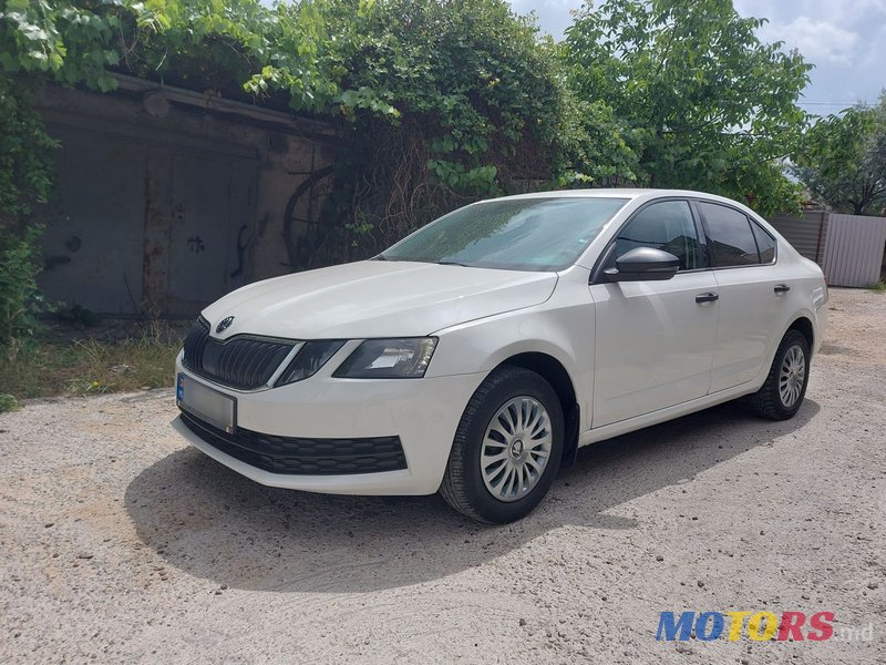 2017' Skoda Octavia photo #4