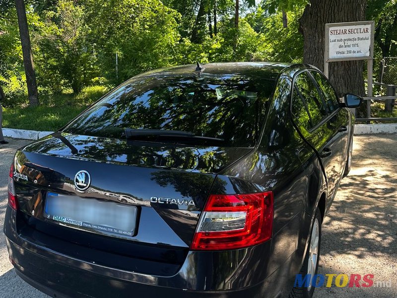 2019' Skoda Octavia photo #2