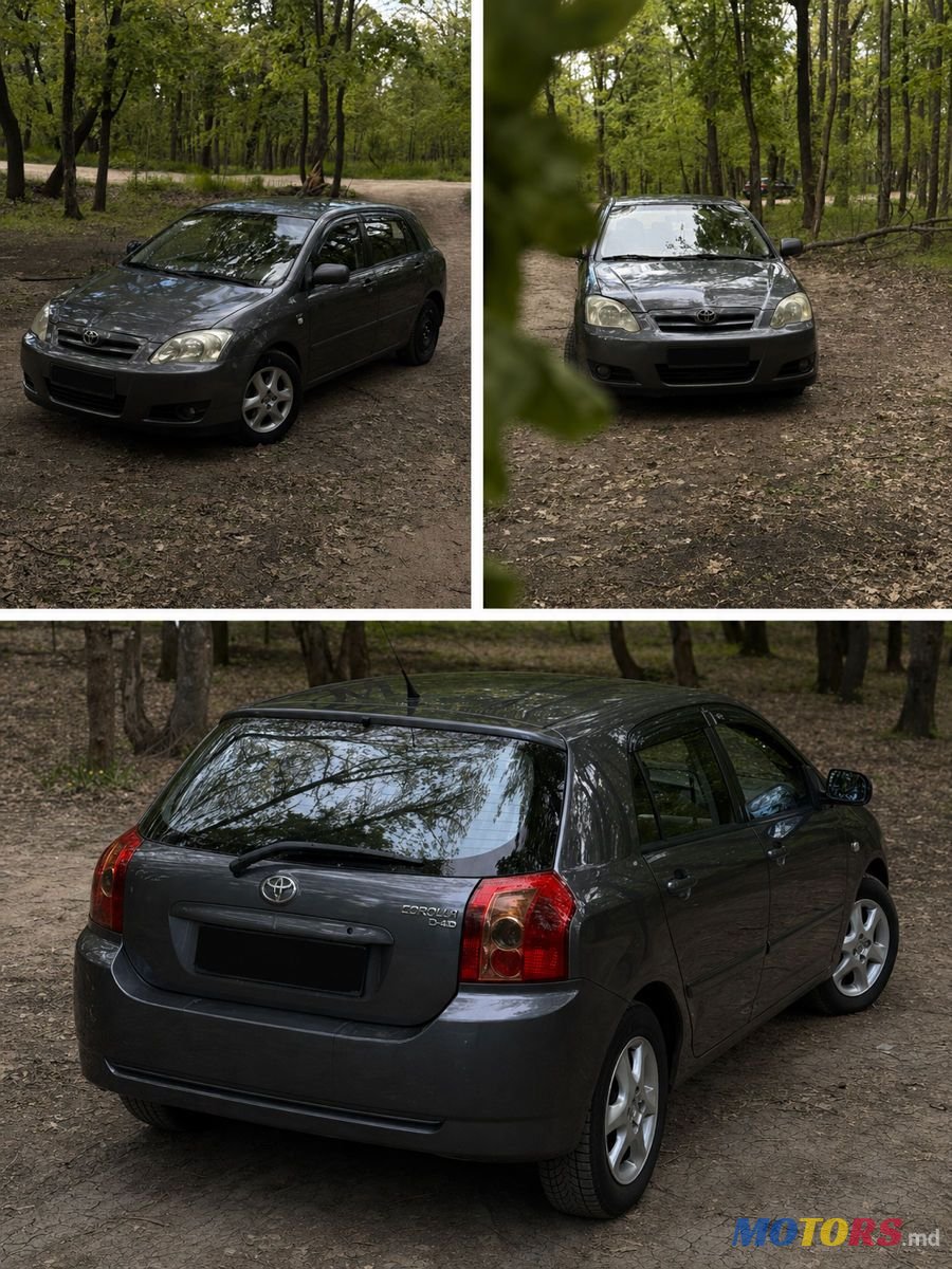 2006' Toyota Corolla photo #2