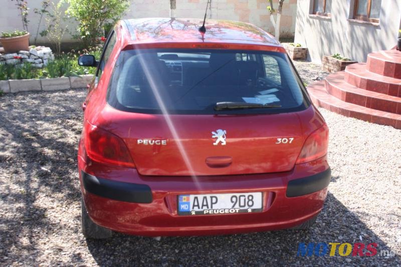 2003' Peugeot 307 photo #2
