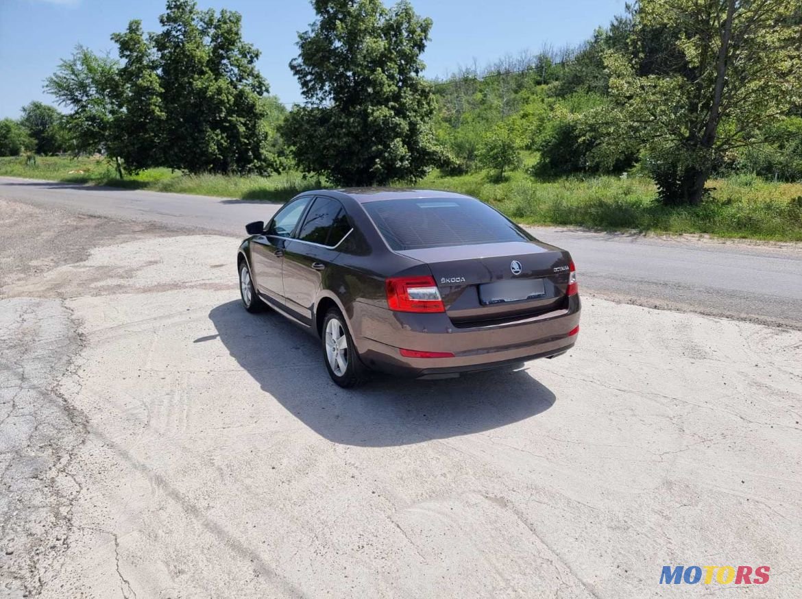 2013' Skoda Octavia photo #2