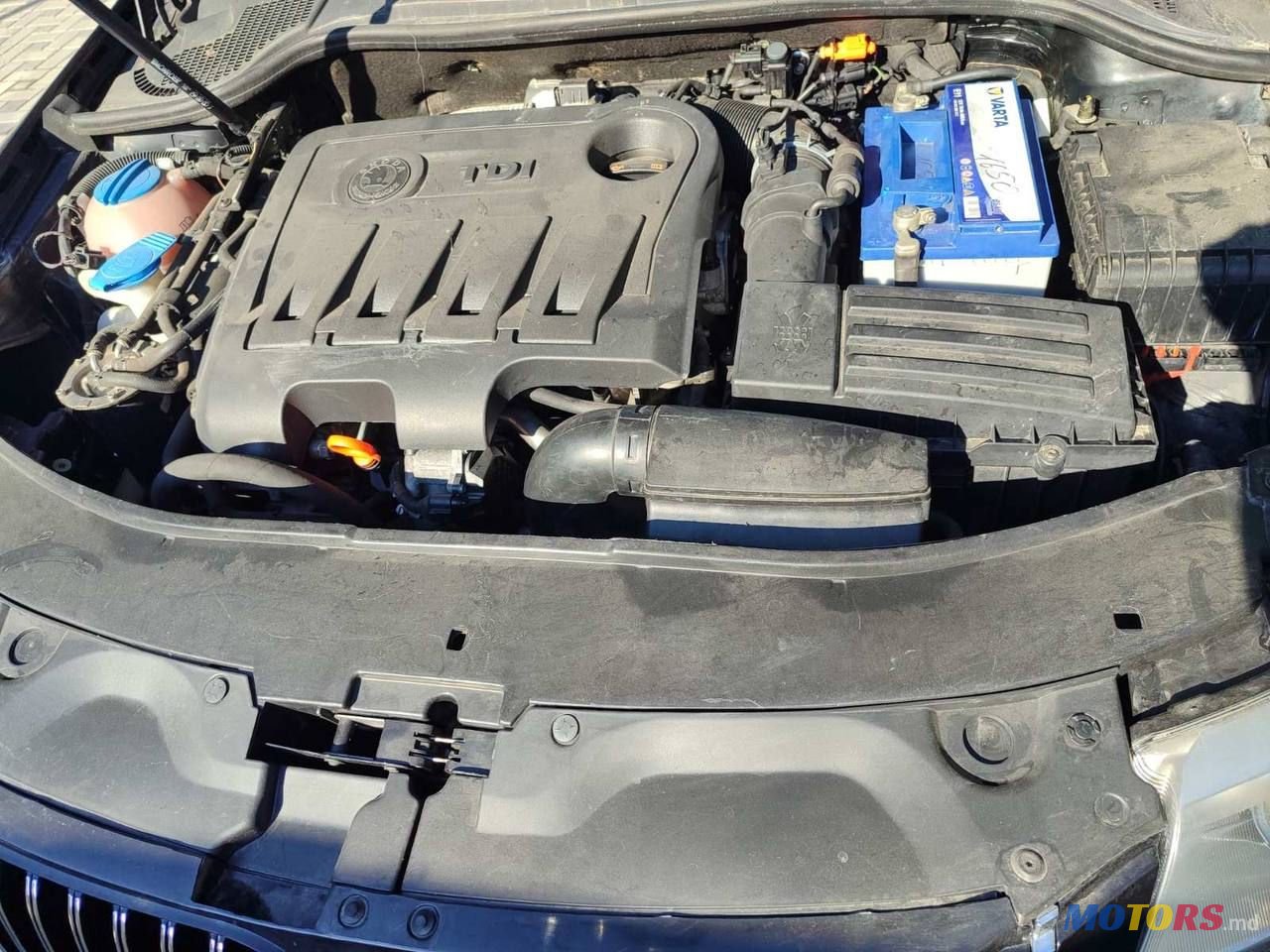 2011' Skoda Superb photo #6