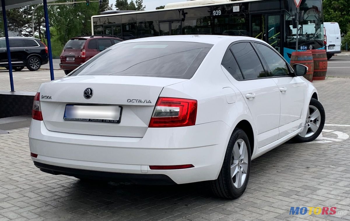 2017' Skoda Octavia photo #4
