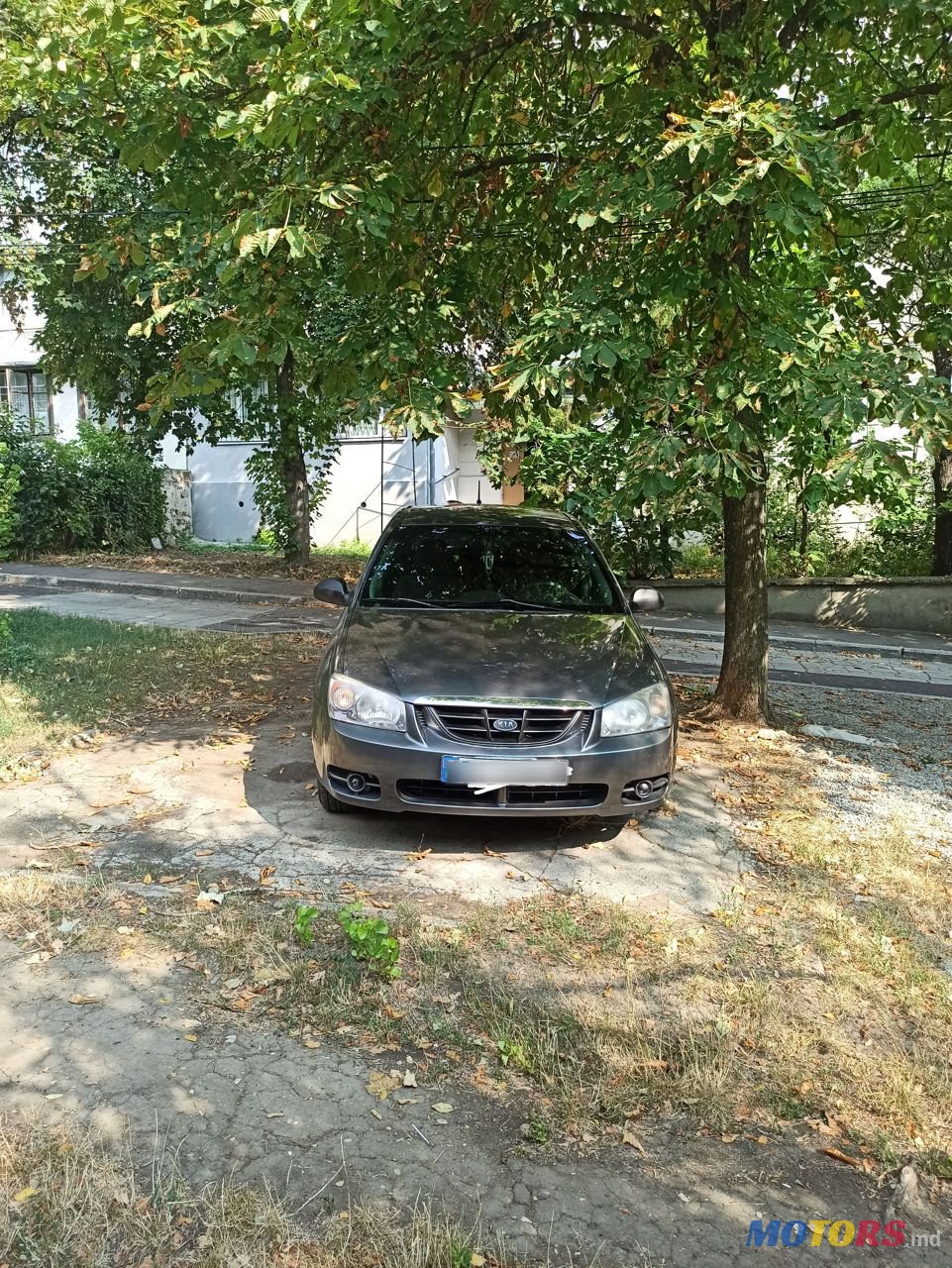 2004' Kia Cerato photo #5