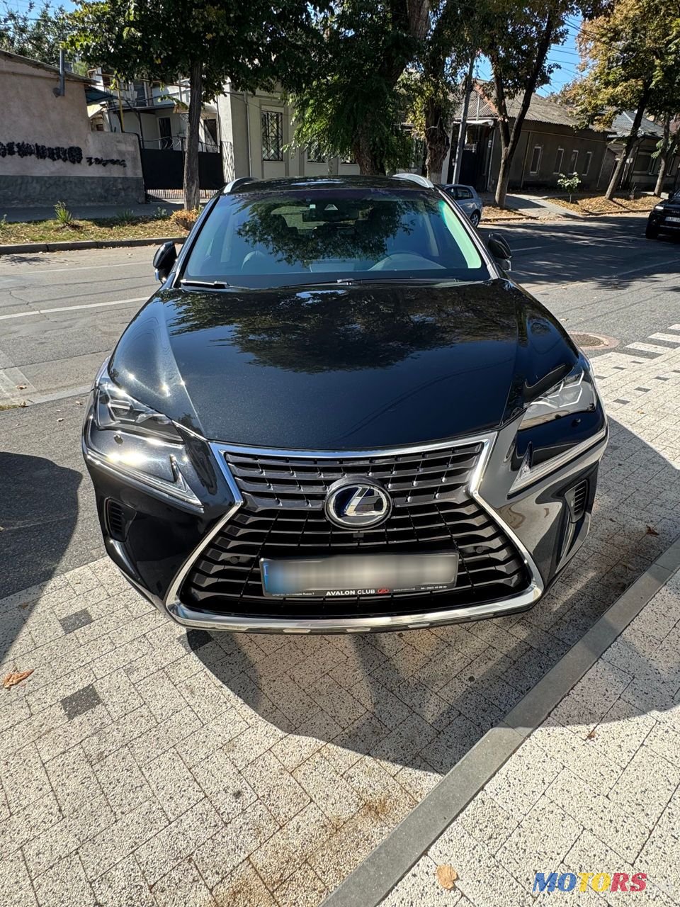 2018' Lexus Nx Series photo #1