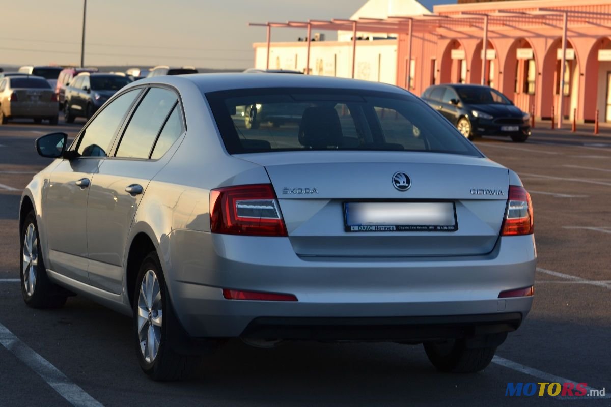 2015' Skoda Octavia photo #4