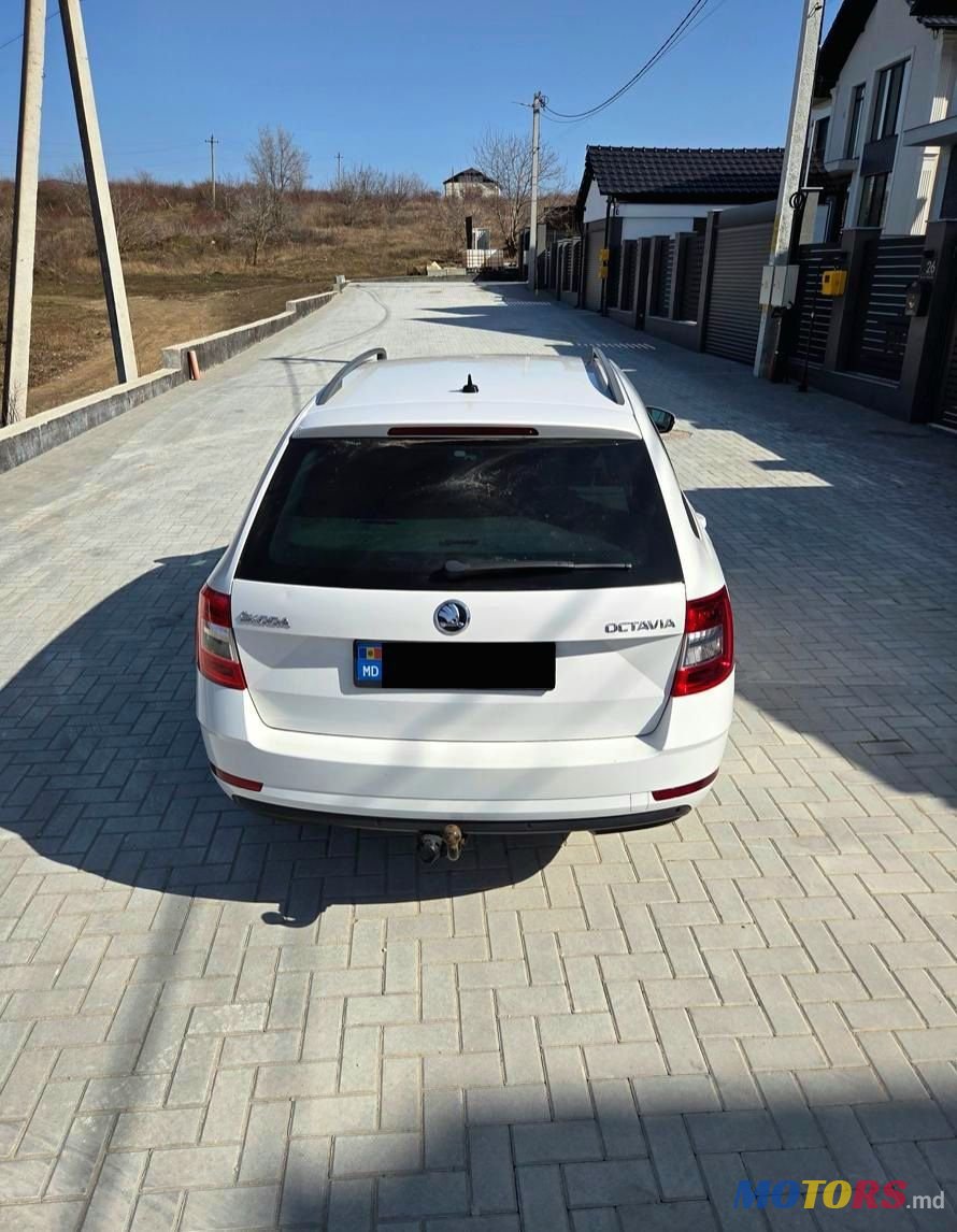 2019' Skoda Octavia photo #6