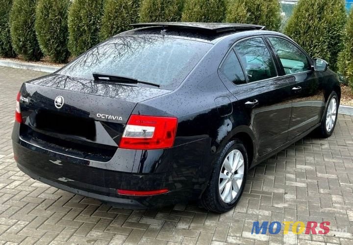 2019' Skoda Octavia photo #3
