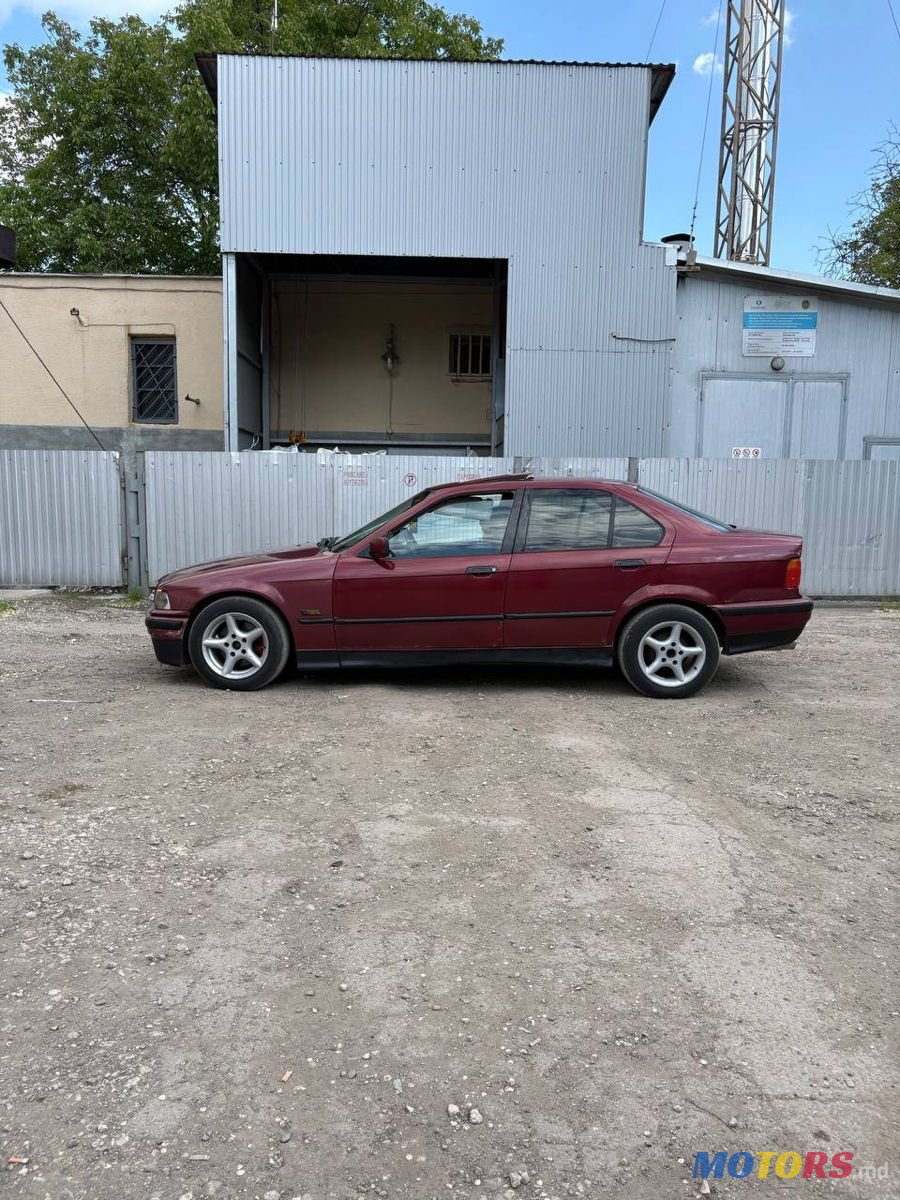 1995' BMW 3 Series photo #4