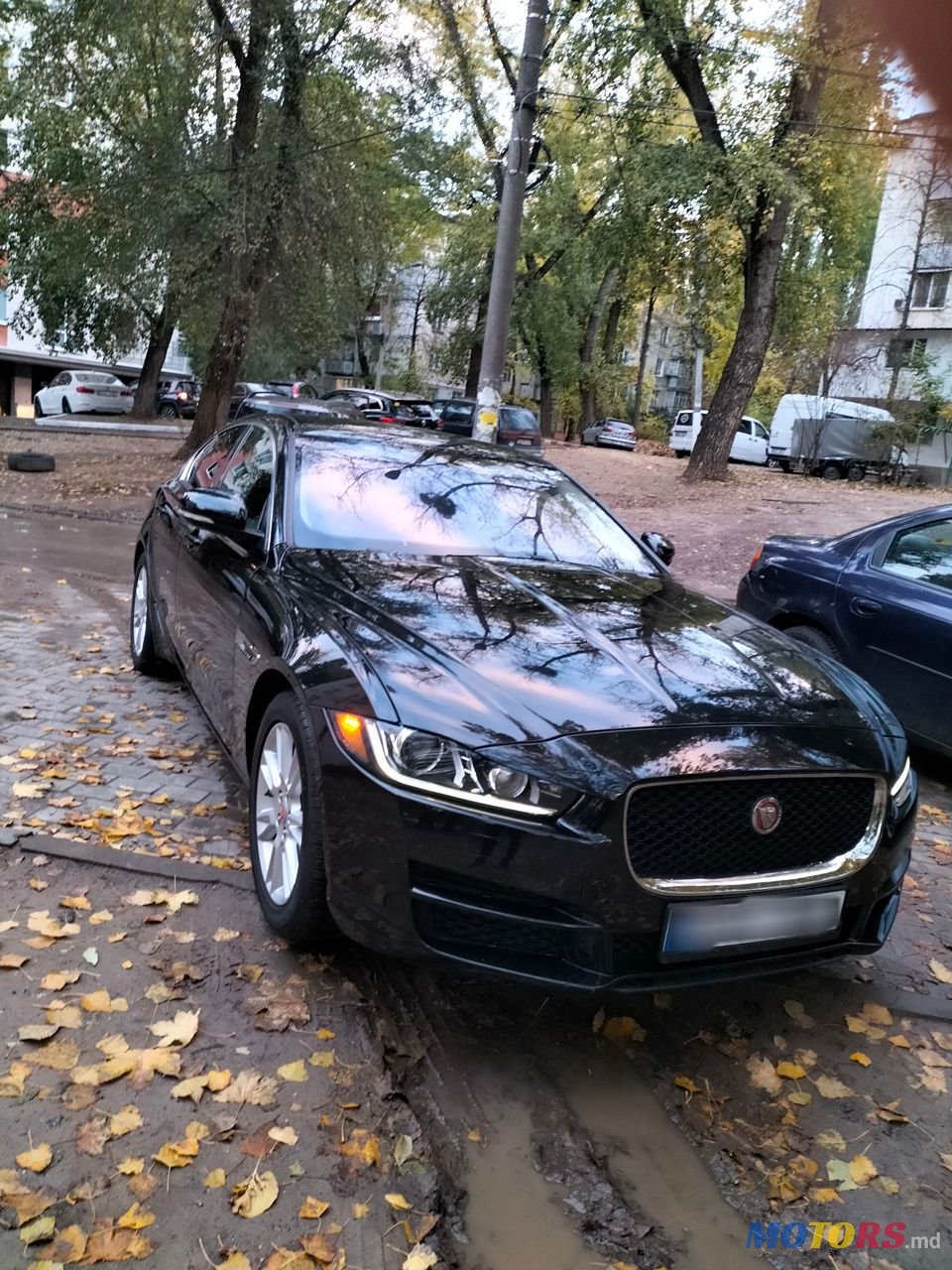 2016' Jaguar XE photo #4