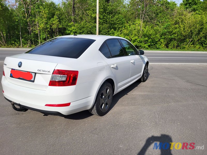 2016' Skoda Octavia photo #3